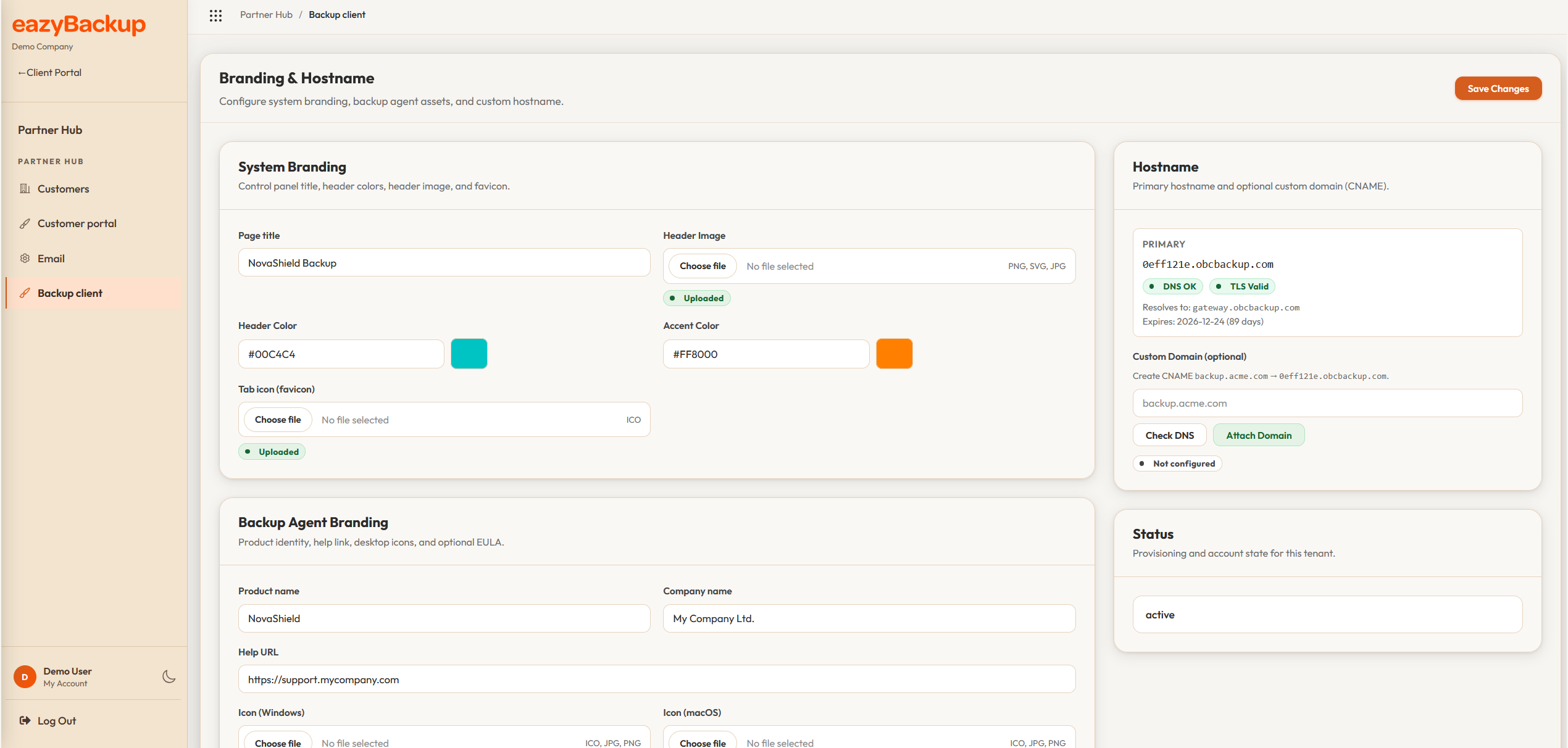 Partner Hub backup-client branding settings for product identity, logos, and application icons